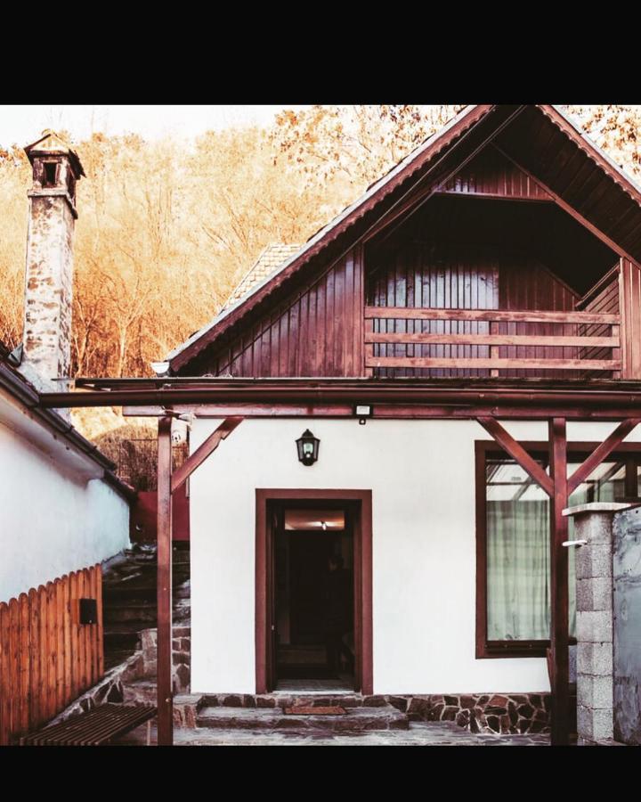 Sedra House Villa Sighişoara Dış mekan fotoğraf